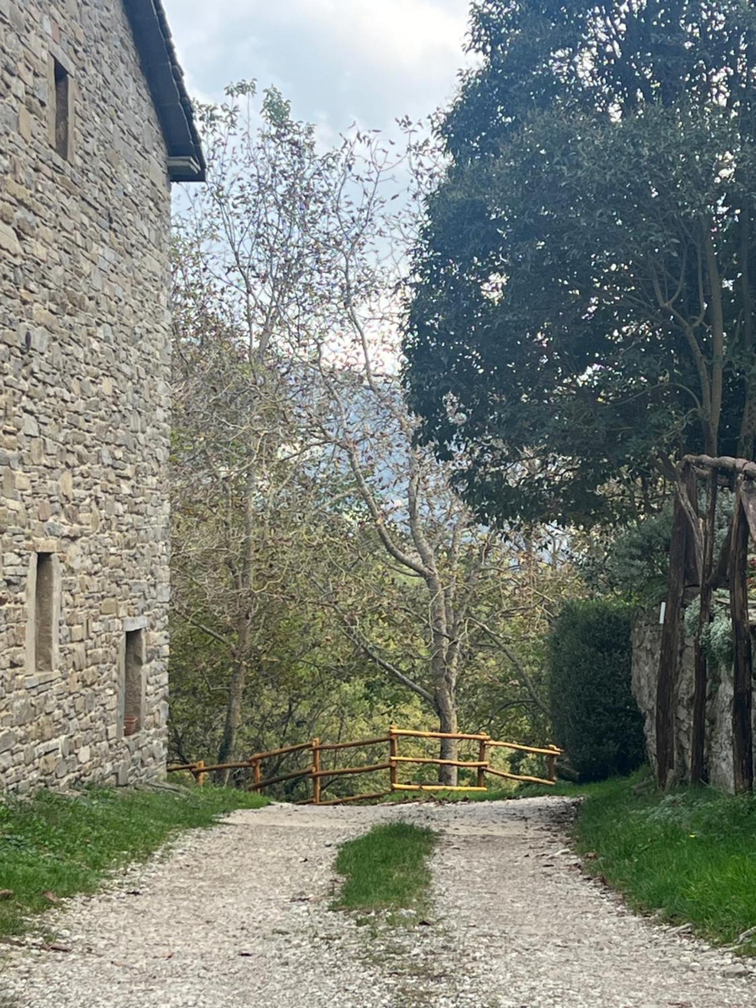 Palazzo 54 * Germagnano (Arezzo)
